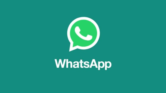 Facing issues on WhatsApp in Dual Messenger? Check out this solution ...